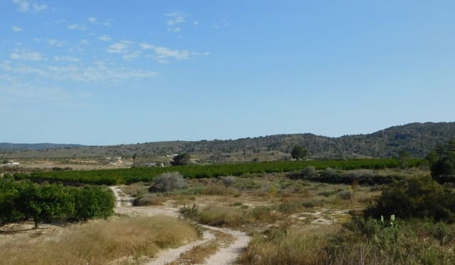 Undeveloped Land for sale in Torremendo, Orihuela - € 235,000 (Ref: 9258042)
