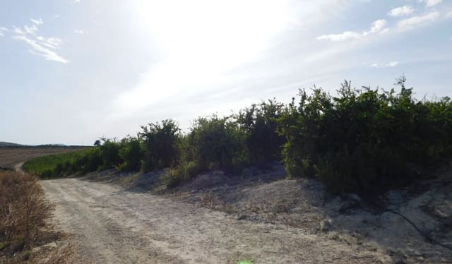 Undeveloped Land for sale in Torremendo, Orihuela - € 235,000 (Ref: 9258042)