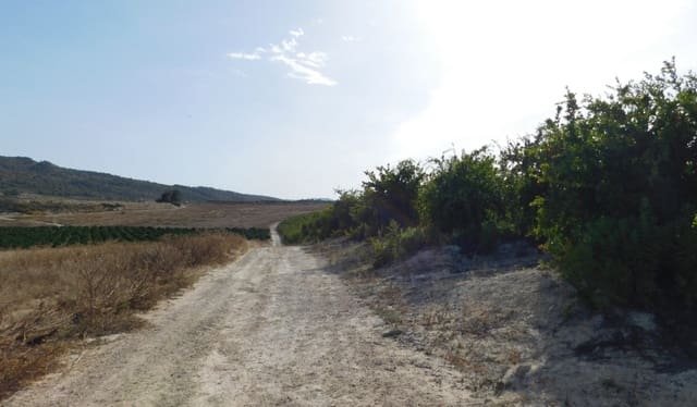 Undeveloped Land for sale in Torremendo, Orihuela - € 235,000 (Ref: 9258042)