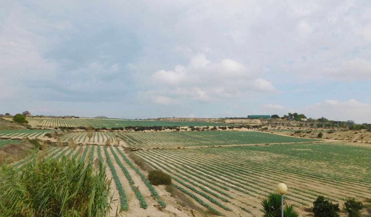 Chalet de 3 habitaciones en San Miguel de Salinas en venta con piscina garaje - 270.000 € (Ref: 9325171)