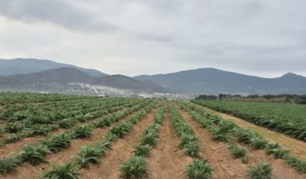 Undeveloped Land for sale in Hondon de las Nieves - € 58,000 (Ref: 9412837)