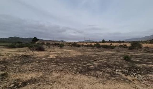 Mark till salu i Hondón de las Nieves - 58 000 € (Ref: 9412837)