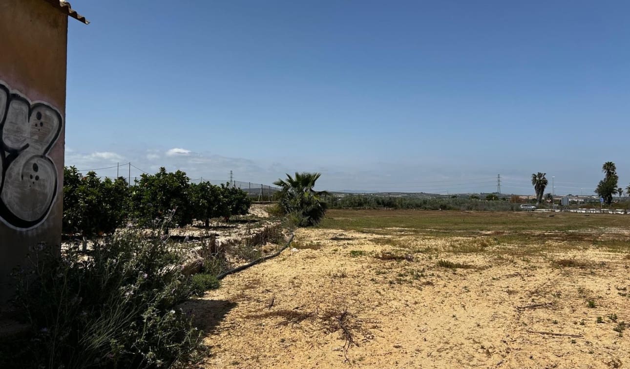 Quinta/Casa Rural para venda em San Miguel de Salinas com piscina - 99 000 € (Ref: 9685607)