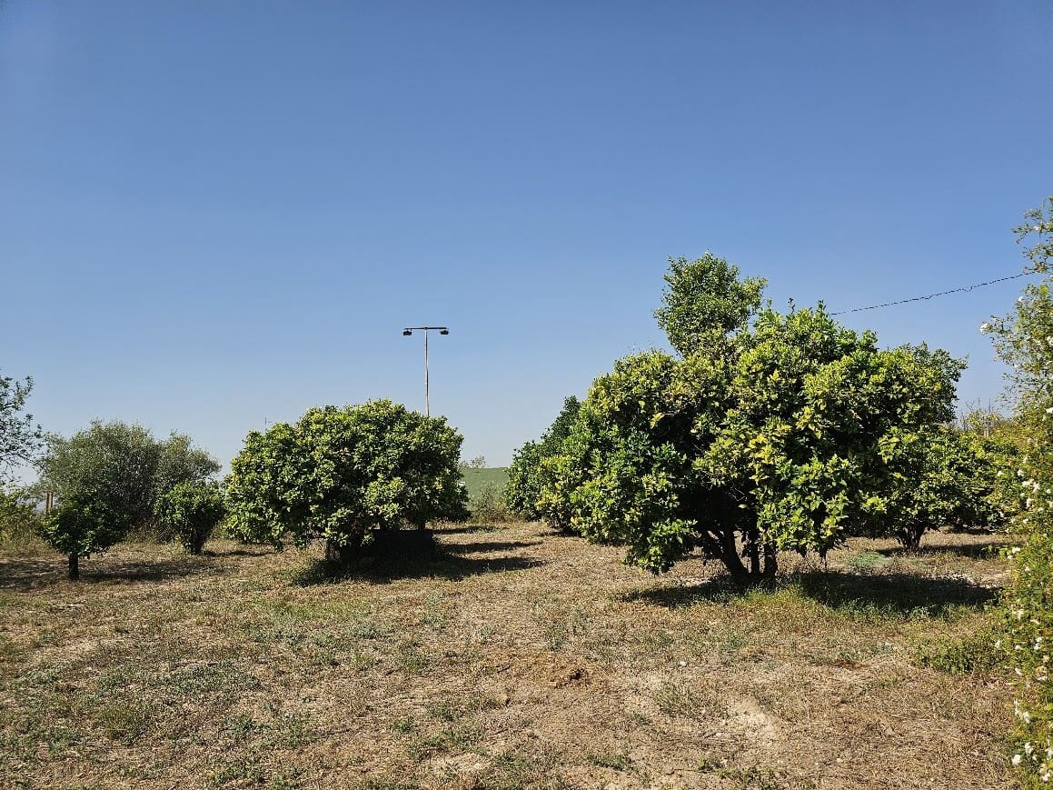 6 camera da letto Finca/Casa di Campagna in vendita in L'Olleria con piscina garage - 325.000 € (Rif: 10071026)