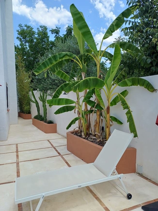 6 Zimmer Villa zu verkaufen in Barxeta mit Pool Garage - 399.950 € (Ref: 10127417)