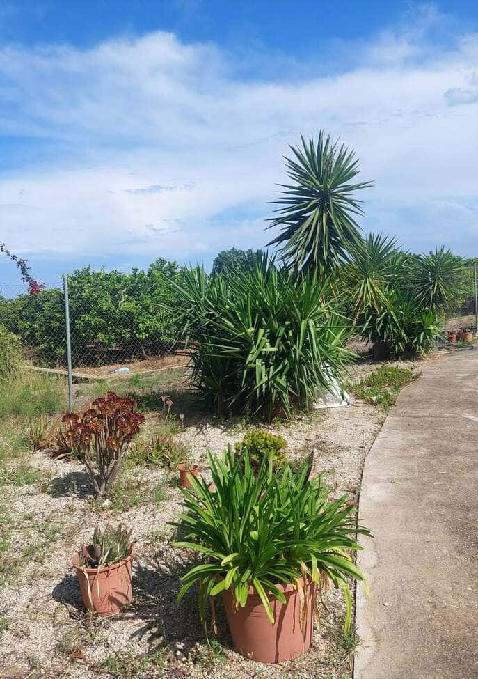 3 bedroom Finca/Country House for sale in Palmera with garage - € 189,950 (Ref: 10153147)