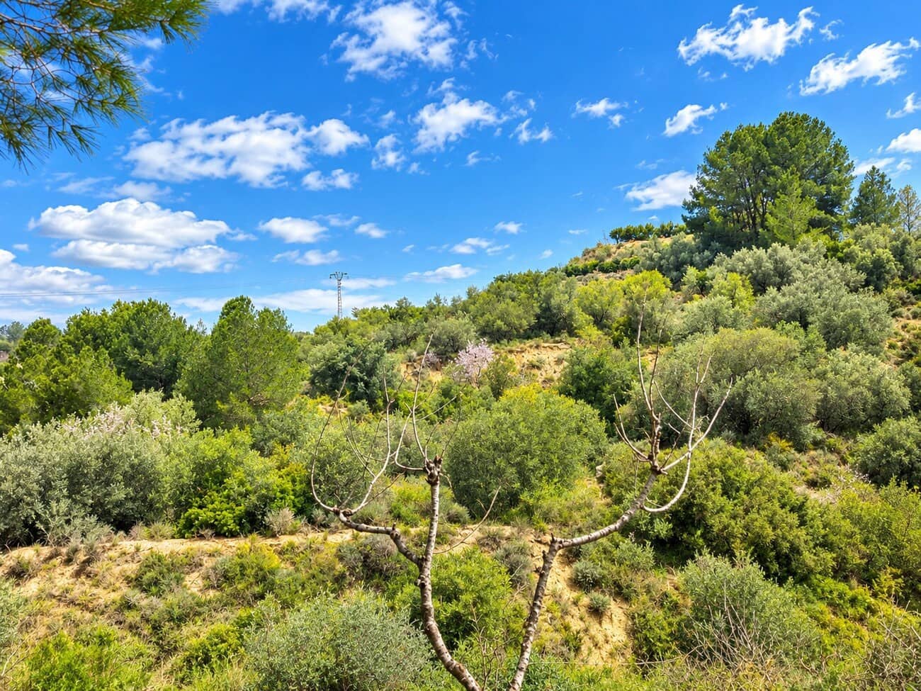 Finca/Casa di Campagna in vendita in Rotgla i Corbera con piscina garage - 79.000 € (Rif: 10165812)