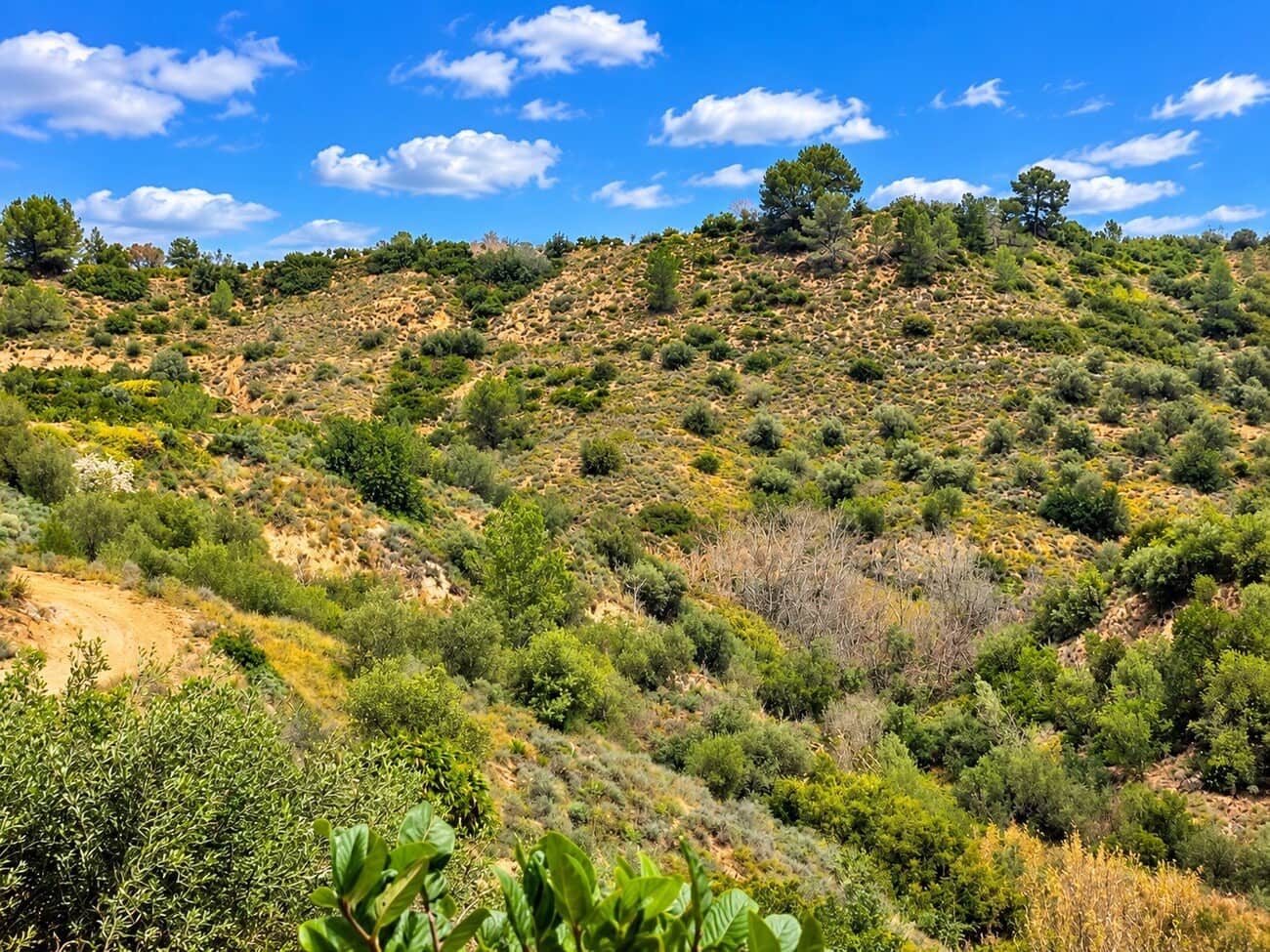 Finca/Casa di Campagna in vendita in Rotgla i Corbera con piscina garage - 79.000 € (Rif: 10165812)