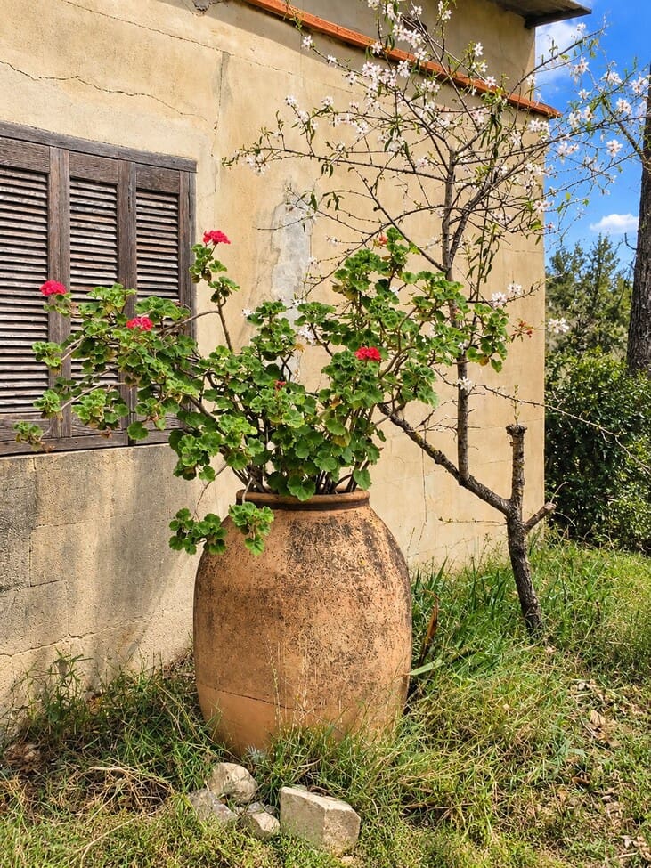 Finca/Casa di Campagna in vendita in Rotgla i Corbera con piscina garage - 79.000 € (Rif: 10165812)