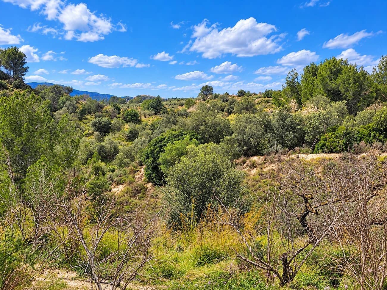 Finca/Casa di Campagna in vendita in Rotgla i Corbera con piscina garage - 79.000 € (Rif: 10165812)