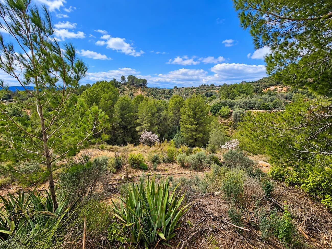 Finca/Casa di Campagna in vendita in Rotgla i Corbera con piscina garage - 79.000 € (Rif: 10165812)
