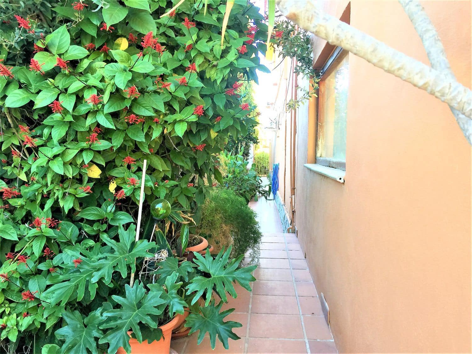 7 quarto Moradia para venda em Denia - 495 000 € (Ref: 8317188)