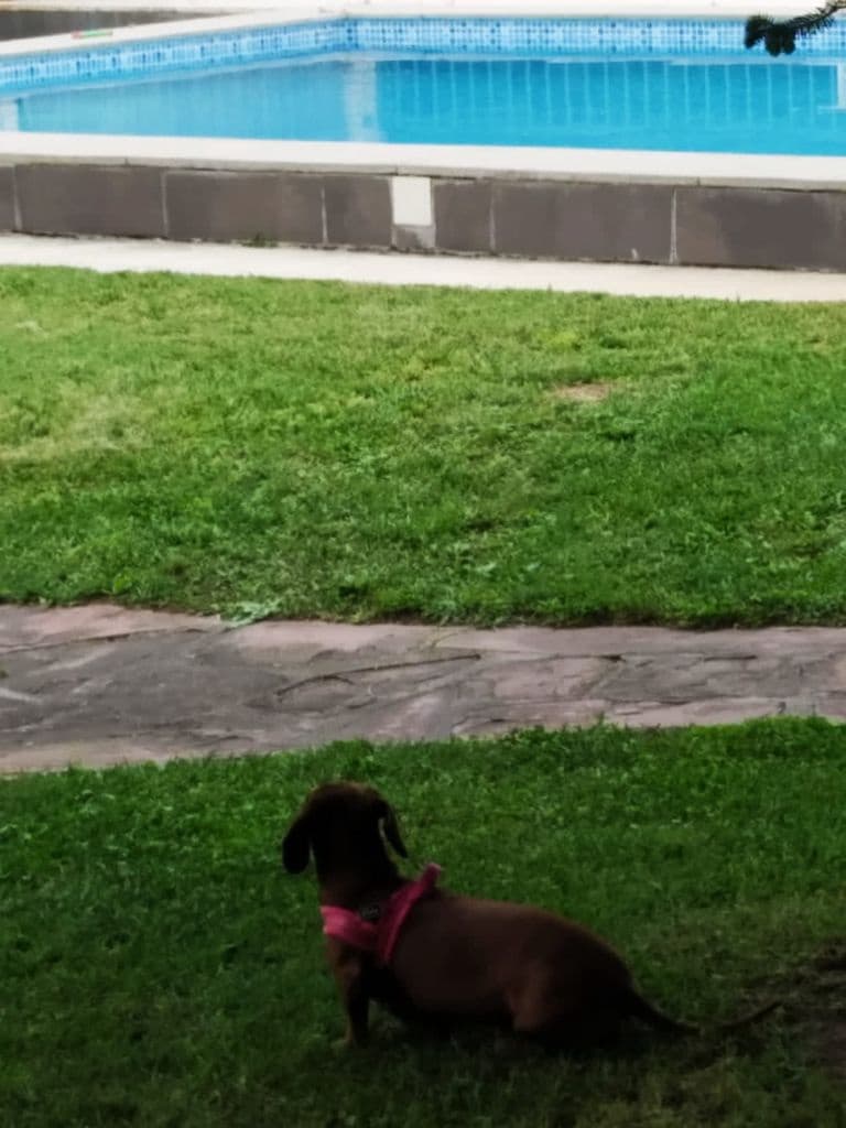 6 soveværelse Villa til salg i Xativa med swimmingpool - € 395.000 (Ref: 8317205)