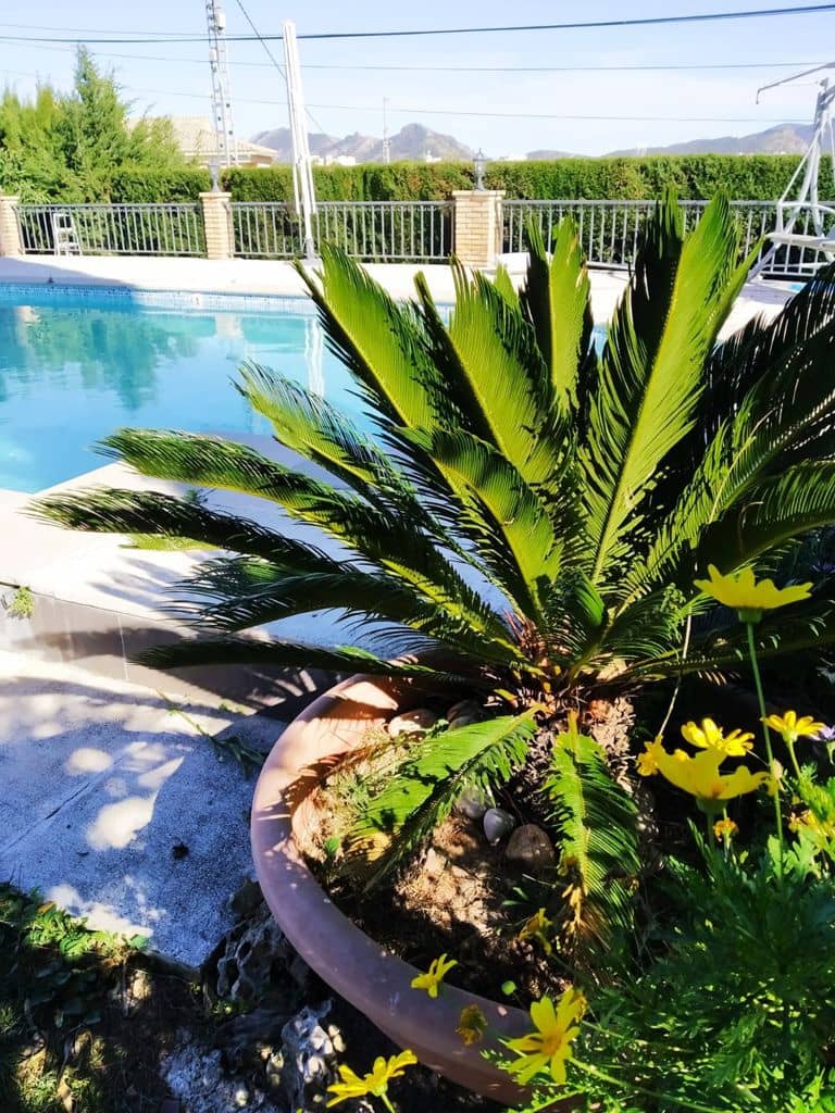 6 soveværelse Villa til salg i Xativa med swimmingpool - € 395.000 (Ref: 8317205)