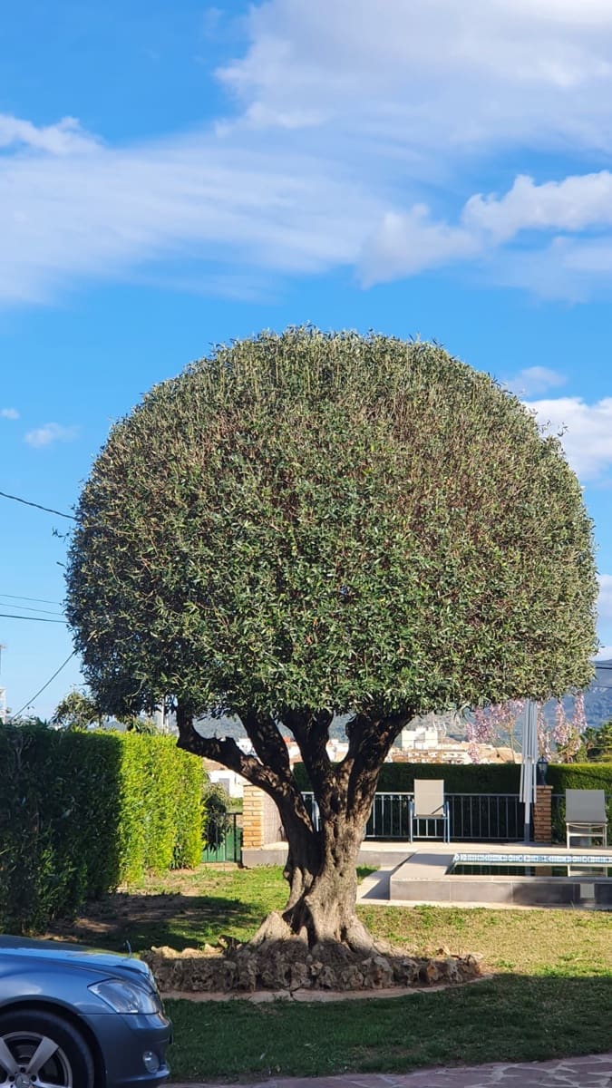 6 soveværelse Villa til salg i Xativa med swimmingpool - € 395.000 (Ref: 8317205)