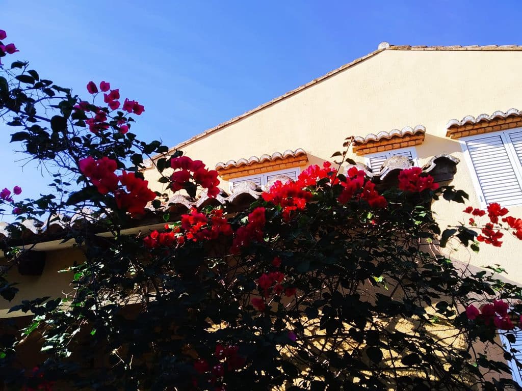 6 soveværelse Villa til salg i Xativa med swimmingpool - € 395.000 (Ref: 8317205)