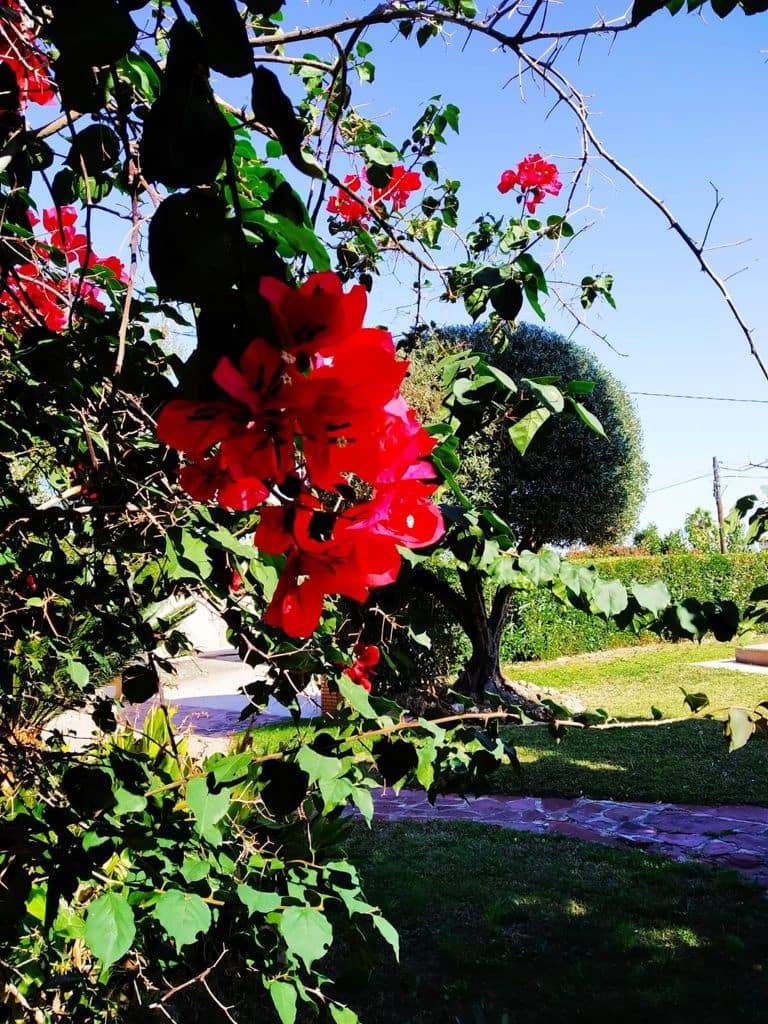 6 soveværelse Villa til salg i Xativa med swimmingpool - € 395.000 (Ref: 8317205)