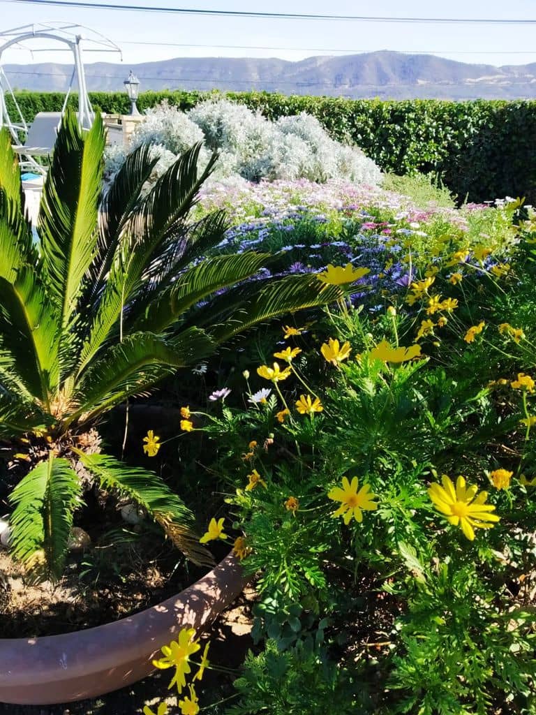 6 soveværelse Villa til salg i Xativa med swimmingpool - € 395.000 (Ref: 8317205)