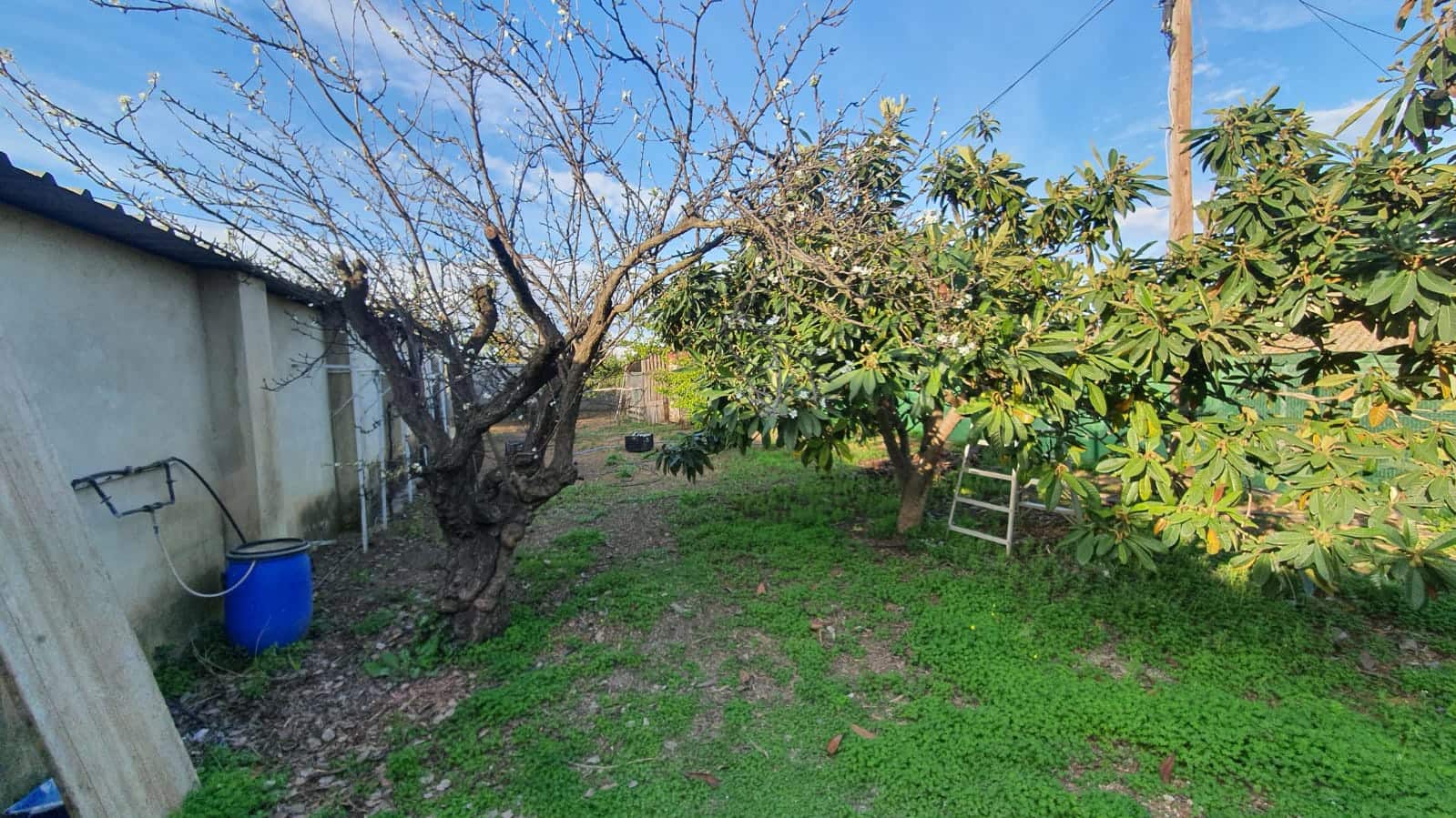 6 soveværelse Villa til salg i Xativa med swimmingpool - € 395.000 (Ref: 8317205)