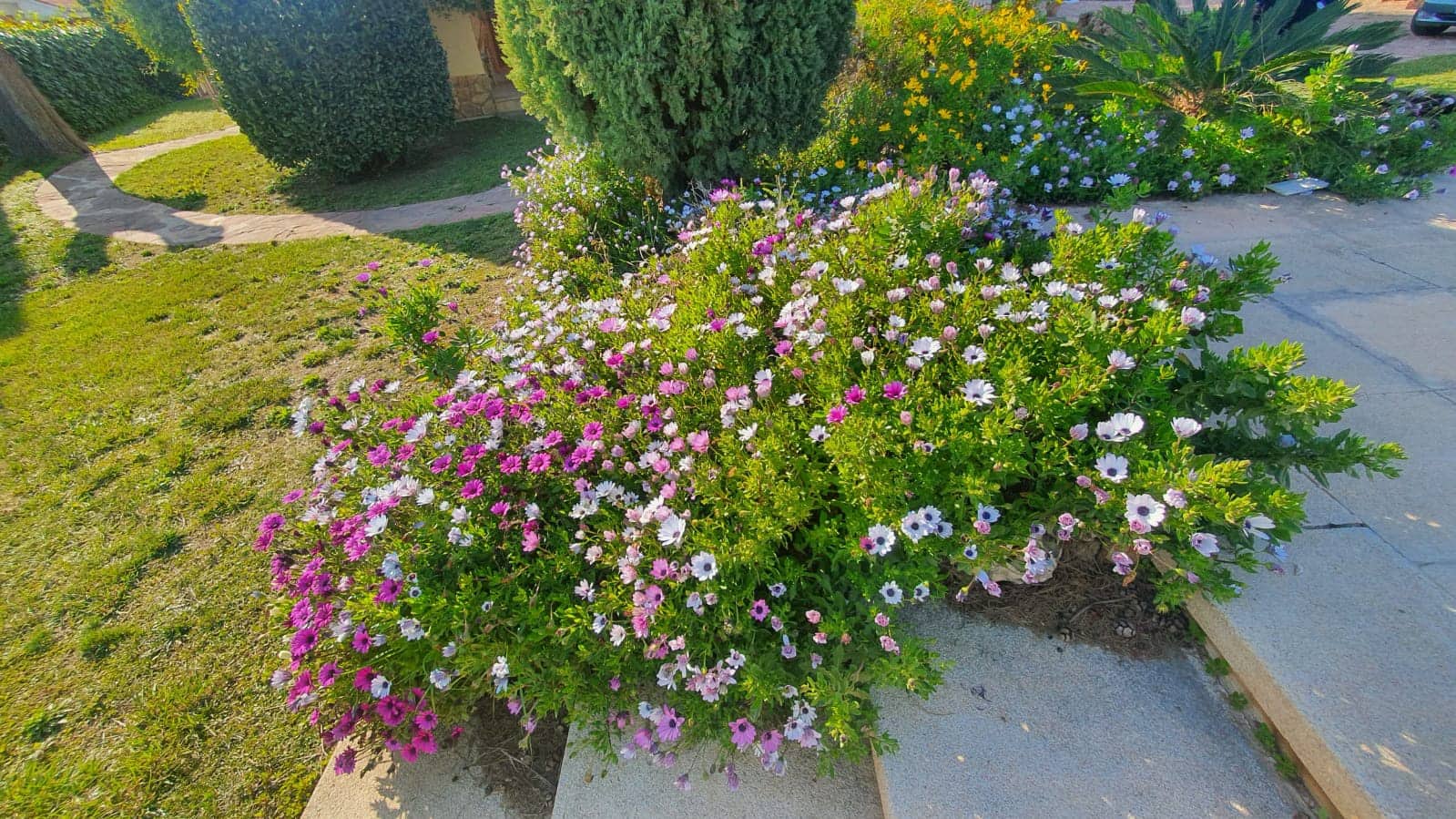 6 soveværelse Villa til salg i Xativa med swimmingpool - € 395.000 (Ref: 8317205)