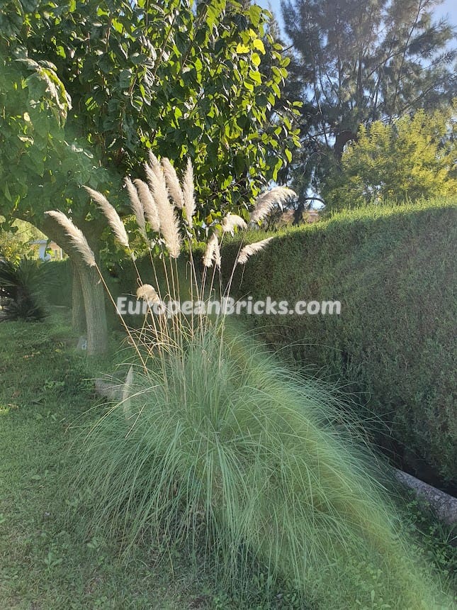 4 soverom Villa til salgs i Xativa med svømmebasseng - € 262 000 (Ref: 8317210)