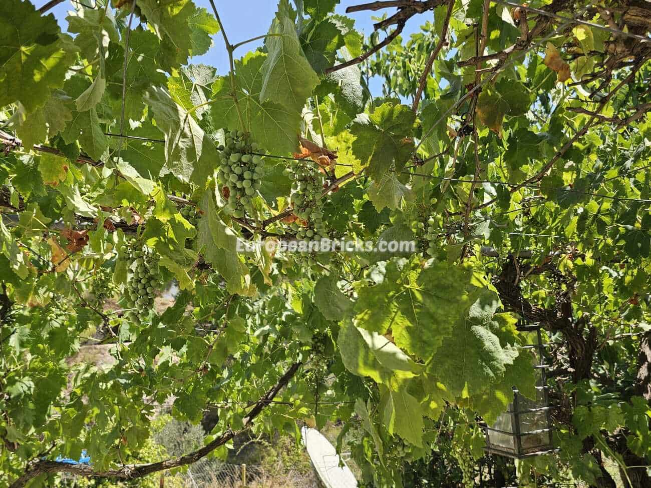 2 soveværelse Finca/Landehus til salg i Ibi med swimmingpool garage - € 147.950 (Ref: 9130489)