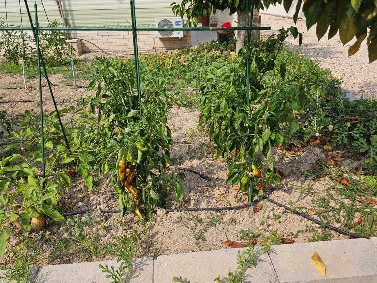 4 soverom Finca/Herregård til salgs i Beniganim med svømmebasseng - € 350 000 (Ref: 9190785)