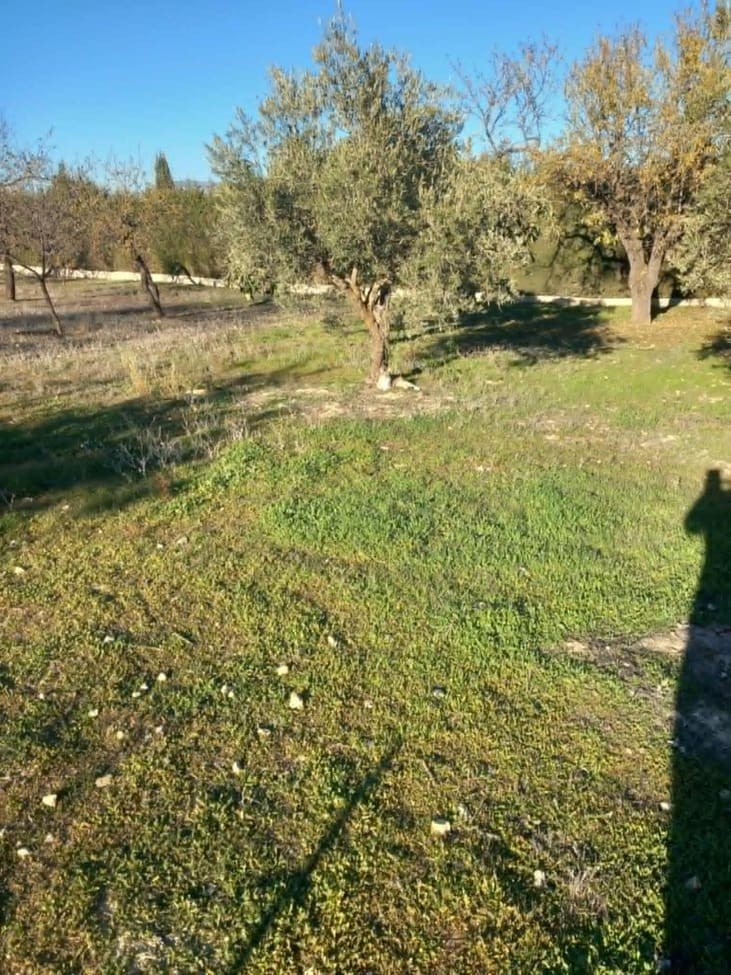 4 bedroom Finca/Country House for sale in Moraleda de Zafayona with pool garage - € 249,950 (Ref: 9304655)