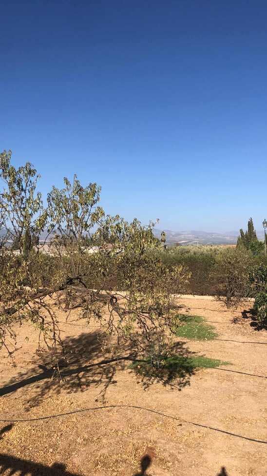 4 bedroom Finca/Country House for sale in Moraleda de Zafayona with pool garage - € 249,950 (Ref: 9304655)