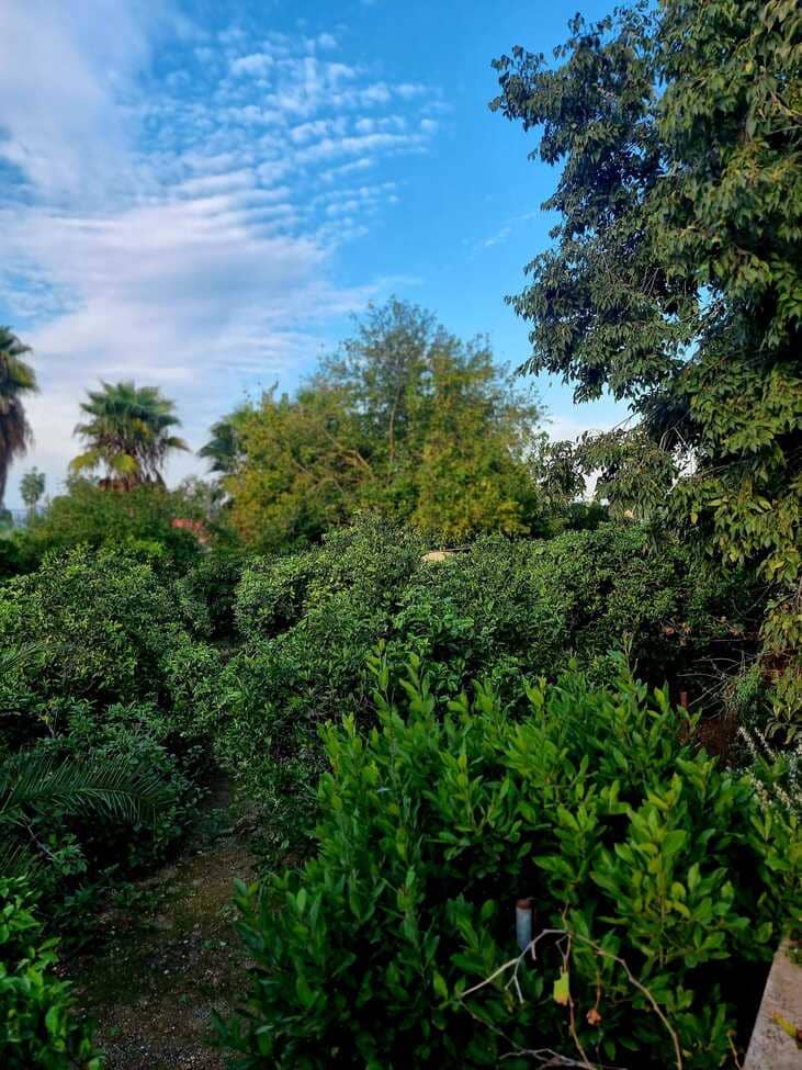 3 chambre Finca/Maison de Campagne à vendre à Canals avec piscine garage - 249 000 € (Ref: 9353012)