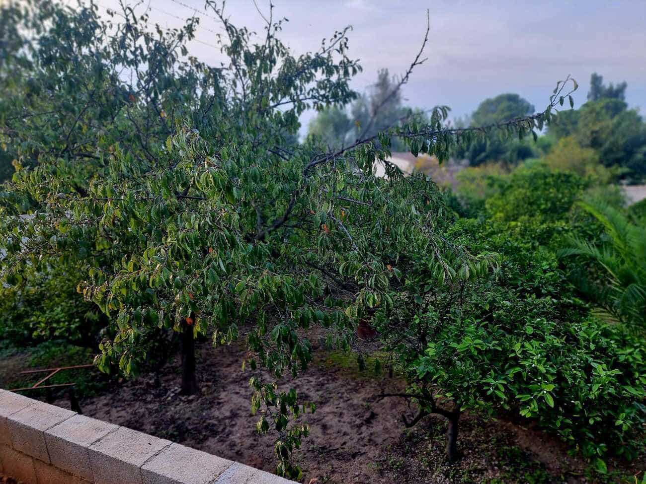 3 chambre Finca/Maison de Campagne à vendre à Canals avec piscine garage - 249 000 € (Ref: 9353012)