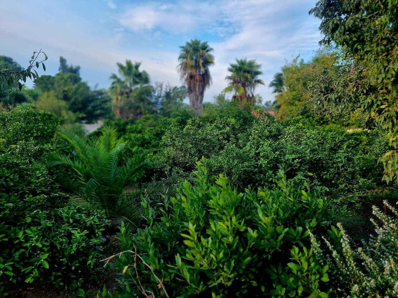 3 chambre Finca/Maison de Campagne à vendre à Canals avec piscine garage - 249 000 € (Ref: 9353012)