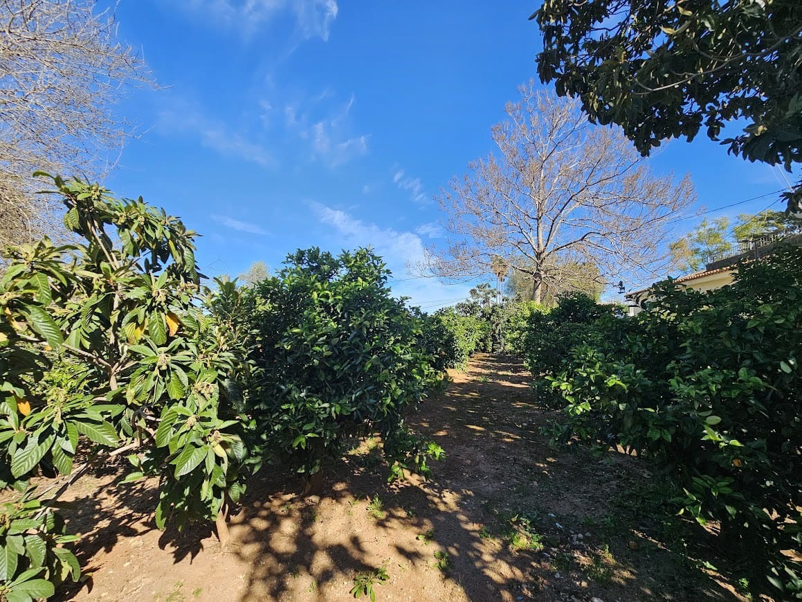 3 soverom Finca/Herregård til salgs i Canals med svømmebasseng garasje - € 249 000 (Ref: 9353012)