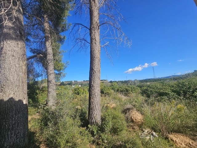 4 bedroom Finca/Country House for sale in Canals with garage - € 120,000 (Ref: 9383978)