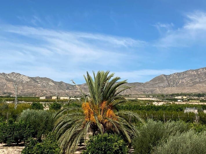 5 soveværelse Finca/Landehus til salg i Albatera - € 399.950 (Ref: 9562548)