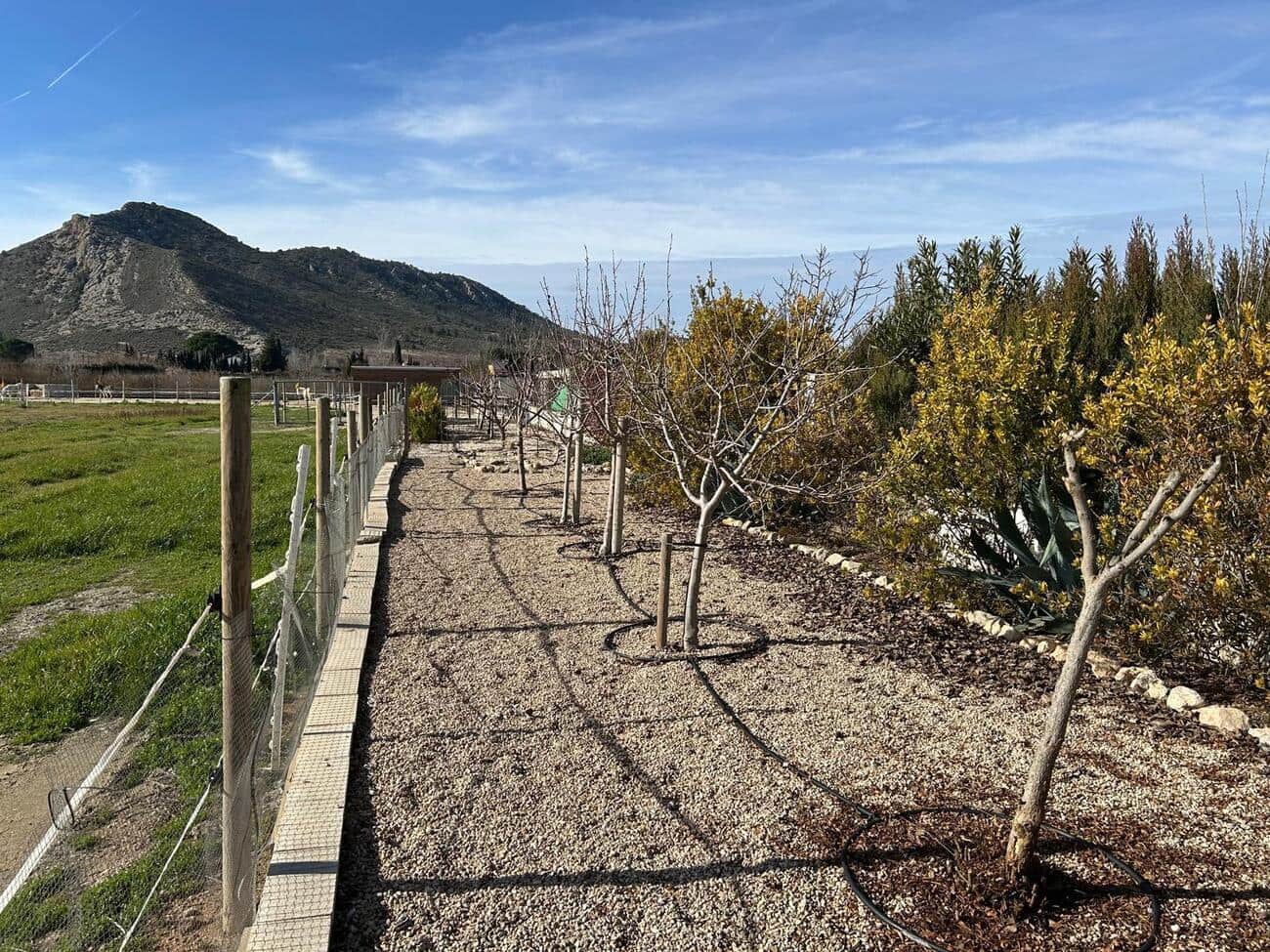 5 bedroom Finca/Country House for sale in Villena with pool garage - € 330,000 (Ref: 9697895)