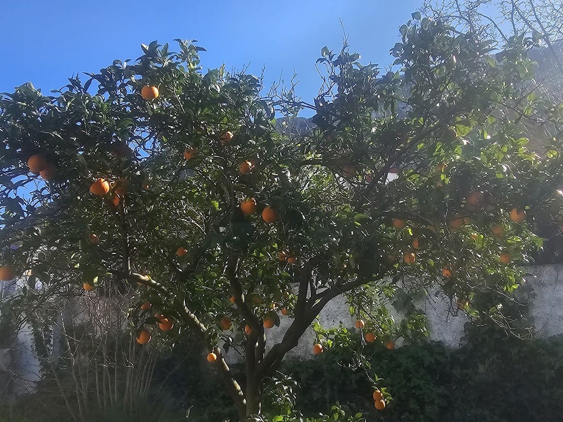 4 bedroom Villa for sale in Gandia with pool garage - € 250,000 (Ref: 9700157)