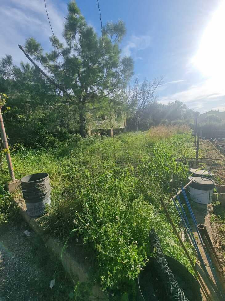 2 bedroom Finca/Country House for sale in Xativa with pool - € 85,000 (Ref: 9725115)