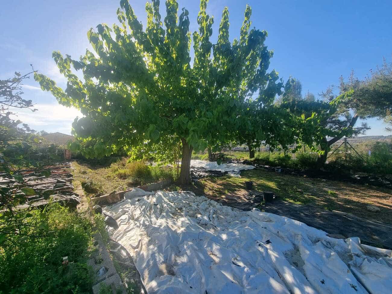 2 bedroom Finca/Country House for sale in Xativa with pool - € 85,000 (Ref: 9725115)