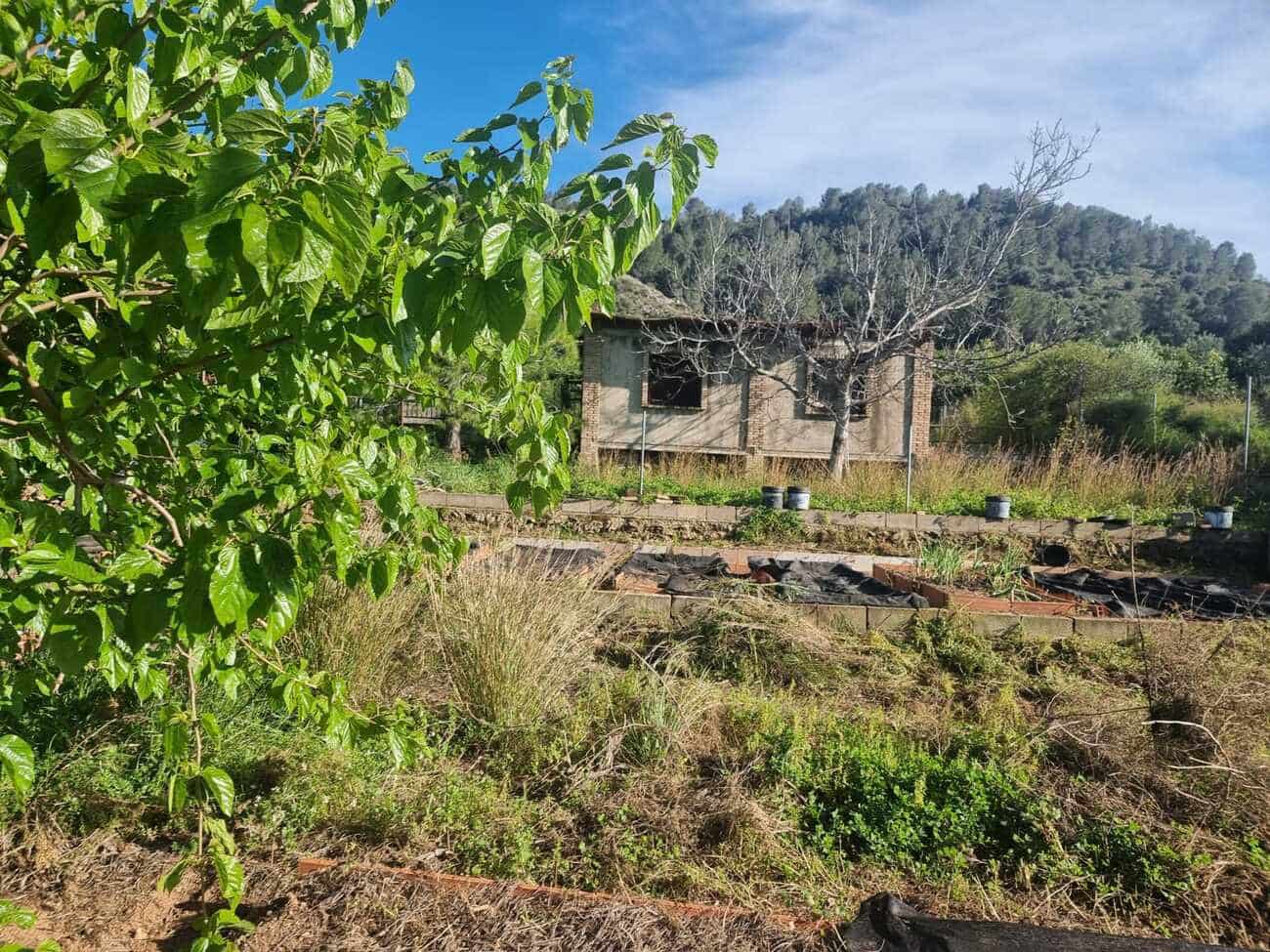 2 bedroom Finca/Country House for sale in Xativa with pool - € 85,000 (Ref: 9725115)