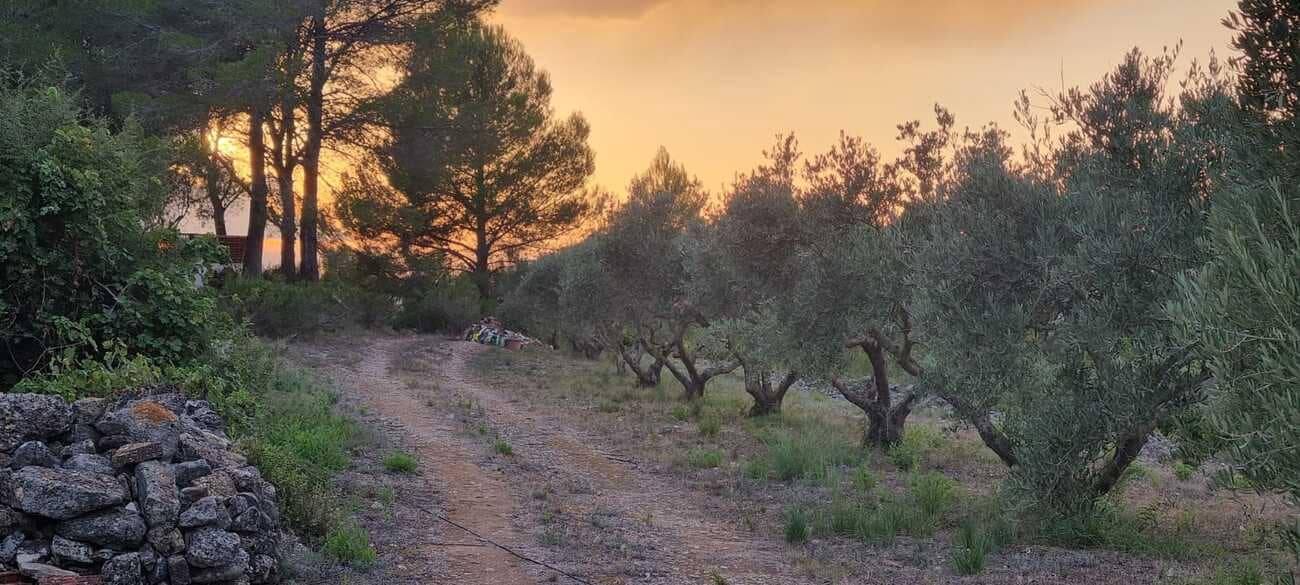 4 makuuhuone Maalaistalo myytävänä paikassa Xativa mukana uima-altaan - 399 000 € (Ref: 9737188)