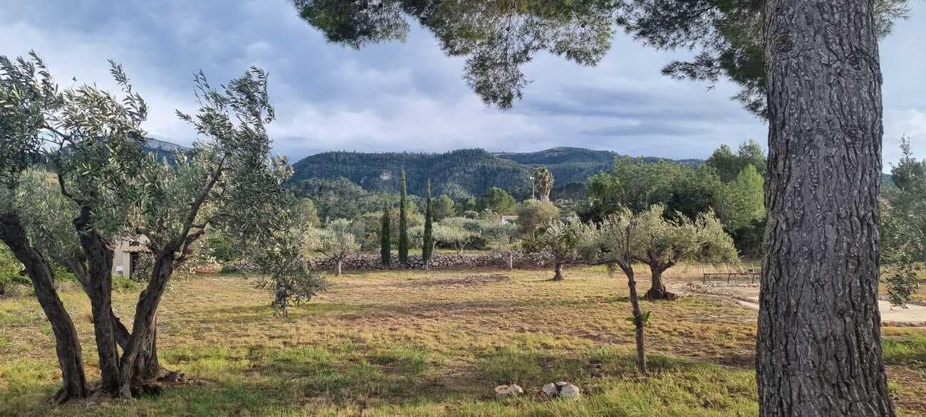 4 makuuhuone Maalaistalo myytävänä paikassa Xativa mukana uima-altaan - 399 000 € (Ref: 9737188)