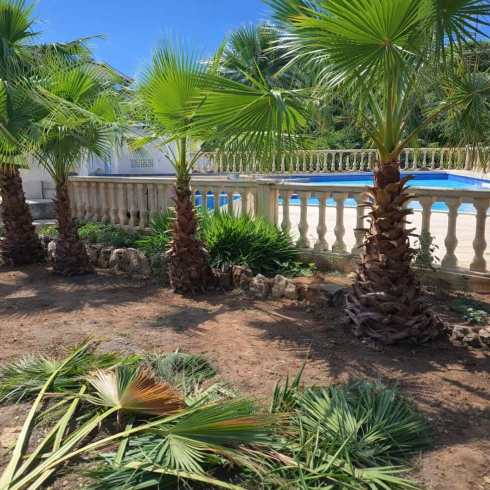 3 camera da letto Finca/Casa di Campagna in vendita in Chella con piscina garage - 264.000 € (Rif: 9829563)