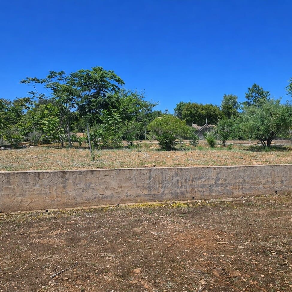 3 camera da letto Finca/Casa di Campagna in vendita in Chella con piscina garage - 264.000 € (Rif: 9829563)