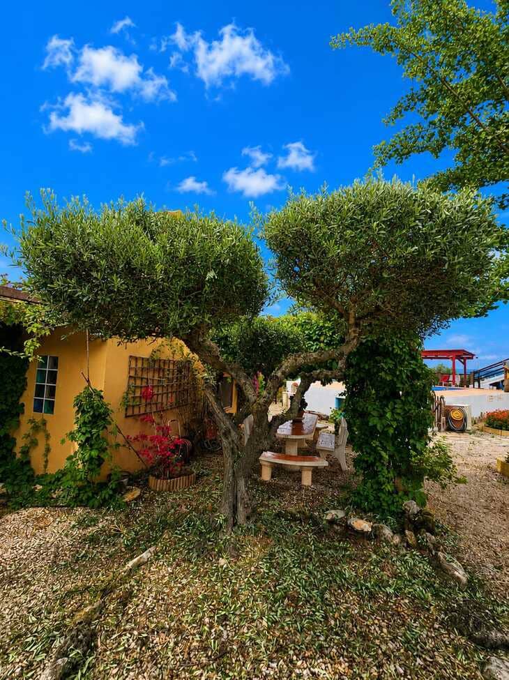 4 bedroom Finca/Country House for sale in Chella with pool garage - € 399,000 (Ref: 9895424)