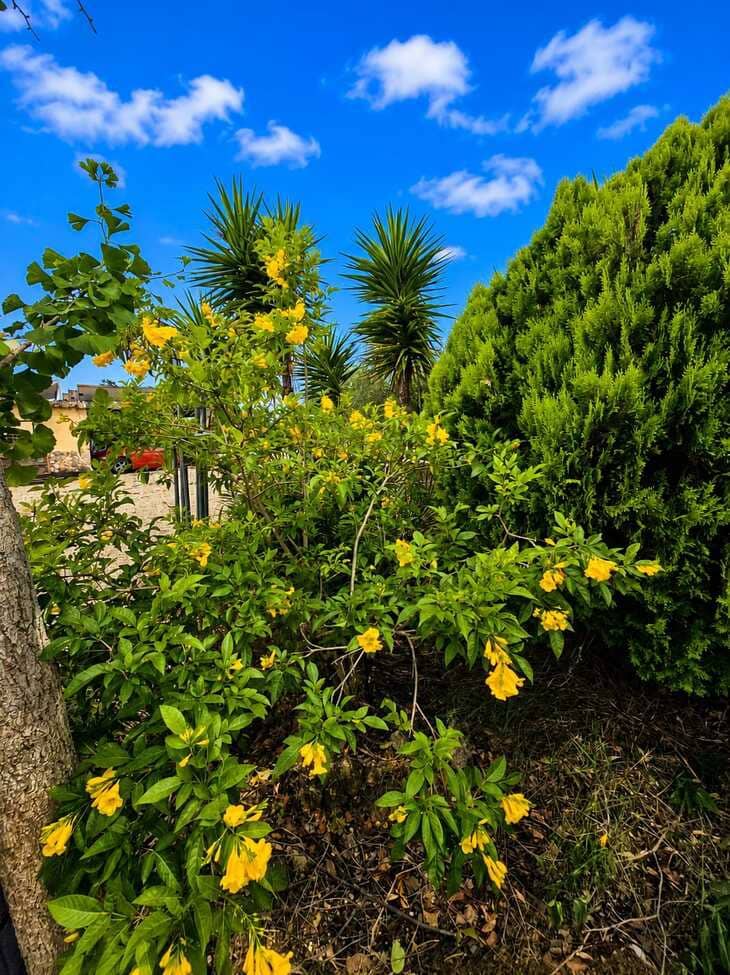 4 bedroom Finca/Country House for sale in Chella with pool garage - € 399,000 (Ref: 9895424)