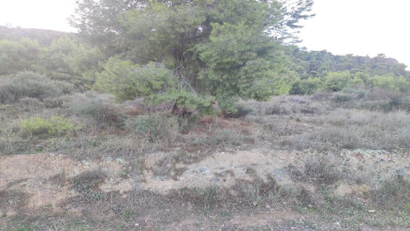 Bouwgrond te koop in Torreaguera - € 46.000 (Ref: 8233329)