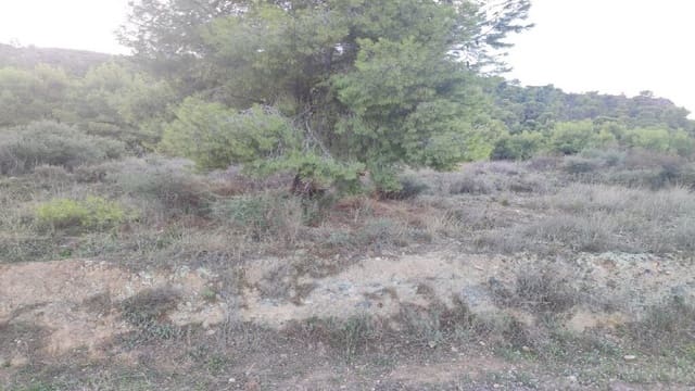 Bouwgrond te koop in Torreagüera, Murcia stad - € 46.000 (Ref: 8233329)