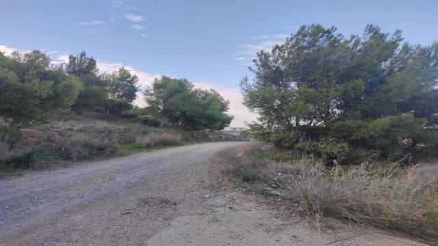 Bouwgrond te koop in Torreagüera, Murcia stad - € 46.000 (Ref: 8233329)