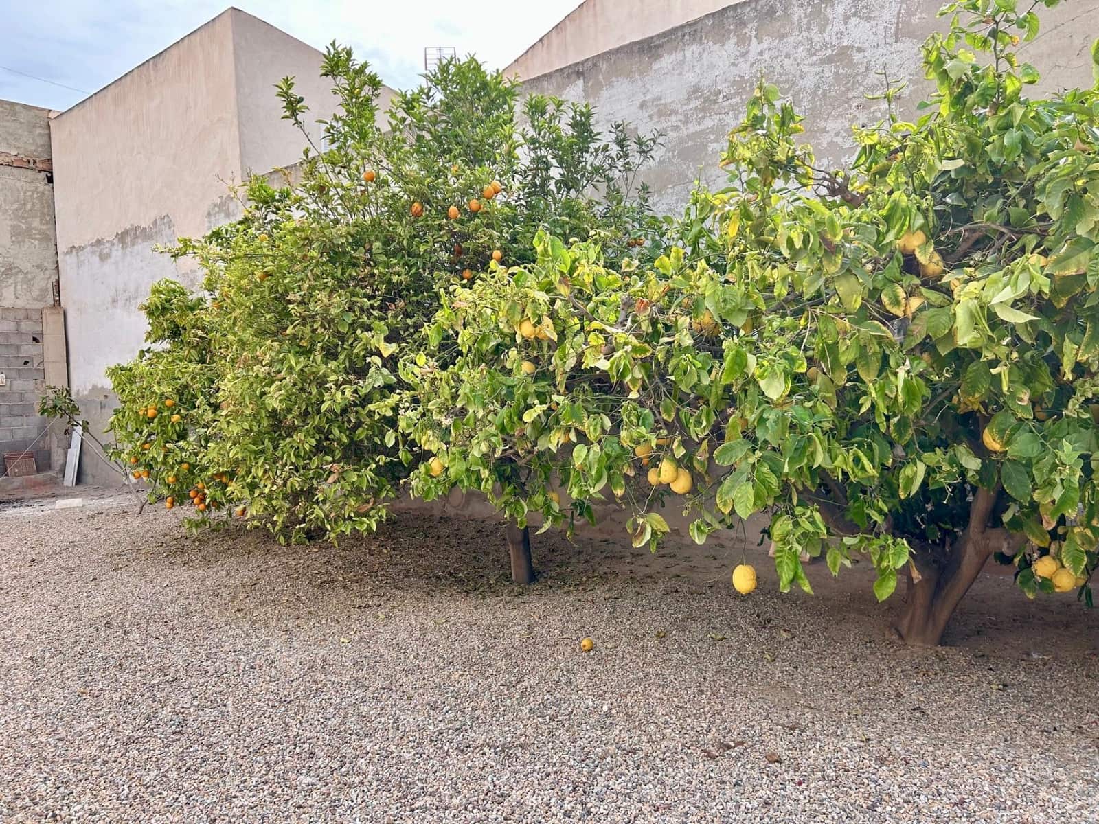 3 soveværelse Villa til salg i Lo Pagan med garage - € 313.500 (Ref: 8295839)